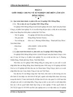 Báo cáo đề tài: 