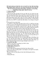 Phê duyệt phương án khai thác cho các chuyến bay thực hiện hoạt động hàng không chung, chuyến bay vận chuyển thương mại trong vùng trời Việt Nam nhưng ngoài đường hàng không, ngoài khu vực hoạt động hàng không chung, ngoài vùng trời sân bay 1 pptx