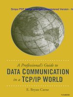 A Professional''''s Guide To Data Communication In a TCP/IP World pptx