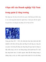 4 hạn chế của Doanh nghiệp Việt Nam trong quản lý ppt