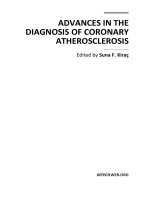ADVANCES IN THE DIAGNOSIS OF CORONARY ATHEROSCLEROSIS pot