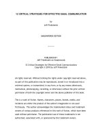 12 CRITICAL STRATEGIES FOR EFFECTIVE EMAIL COMMUNICATION by Jeff Finkelstein pot