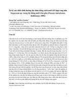 Báo cáo khoa học: Xử lý các chất dinh dưỡng dư thừa bằng cách nuôi kết hợp rong nâu potx