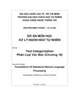đề tài   text categorization phân loại văn bản (chương 16)