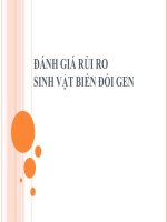 Đánh giá rủi ro sinh vật biến đổi gen doc