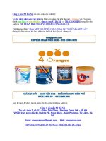 Bán sơn spec, sơn mykolor GIÁ TẬN GỐC , GIAO TẬN NƠI , PHỐI MÀU SƠN MIỄN PHÍ pot