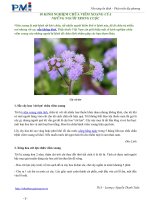 10 KINH NGHIỆM CHỮA VIÊM XOANG CỦA NHỮNG NGƯỜI TRONG CUỘC pdf