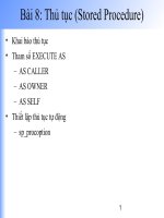 Bài giảng Client/Server - Chương 8: Thủ tục doc