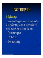 BÀI GIẢNG: UNG THƯ PHỔI pot