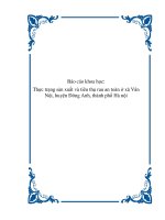 Báo cáo khoa học: Thực trạng sản xuất và tiêu thụ rau an toàn ở xã Vân Nội, huyện Đông Anh, thành phố Hà nội docx