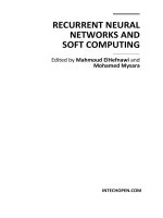 RECURRENT NEURAL NETWORKS AND SOFT COMPUTING pot