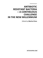 ANTIBIOTIC RESISTANT BACTERIA – A CONTINUOUS CHALLENGE IN THE NEW MILLENNIUM docx