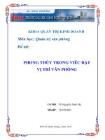 Phong thủy trong việc đặt vị trí văn phòng pot