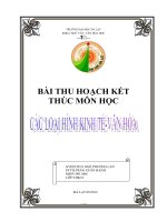BÀI THU HOẠCH KẾT THÚC MÔN HỌC : các loại hình văn hóa kinh tế doc