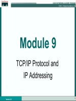 CCNA 1 Network Basics - Module 9 TCP/IP Protocol and IP Addressing docx