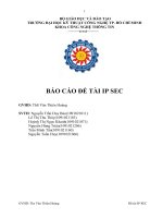 Tiểu Luận IP SEC ppt