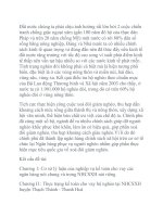 phân tích hình thức kế toán máy của ngân hàng agribank doc