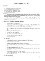 NUÔI CON BẰNG SỮA MẸ