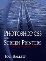 Photoshop CS3 for Screen Printers doc