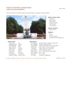 Tex''''s french grammar pptx