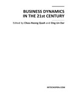 Business Dynamics in the 21st Century docx