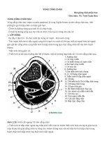 bài giảng: Phẫu thuật học vùng cẳng chân pdf