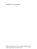 Handbook of Dermatology A Practical Manual docx