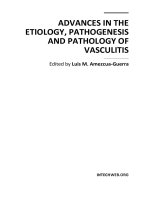 ADVANCES IN THE ETIOLOGY, PATHOGENESIS AND PATHOLOGY OF VASCULITIS potx