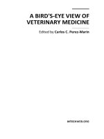 A BIRD''''S-EYE VIEW OF VETERINARY MEDICINE doc