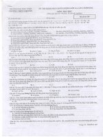 Đề và đáp án thi thử đại học môn hóa lần 1 Chuyên ĐH Vinh pdf