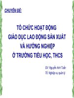 CHUYÊN ĐỀ : TỔ CHỨC HOẠT ĐỘNG GIÁO DỤC LAO ĐỘNG SẢN XUẤT VÀ HƯỚNG NGHIỆP Ở TRƯỜNG TIỂU HỌC, THCS ppt