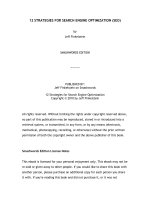 12 STRATEGIES FOR SEARCH ENGINE OPTIMIZATION (SEO)by Jeff Finkelstein pdf