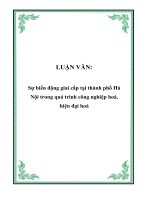 LUẬN VĂN: Sự biến động giai cấp tại thành phố Hà Nội trong quá trình công nghiệp hoá, hiện đại hoá pdf