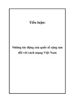 Tiểu luận: Những tác động của quốc tế cộng sản đối với cách mạng Việt Nam ppt