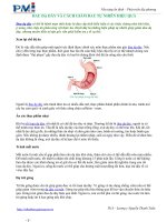 ĐAU DẠ DÀY VÀ CÁCH GIẢM ĐAU TỰ NHIÊN HIỆU QUẢ potx