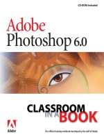 Adobe Photoshop 6.0 docx