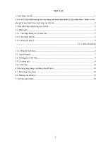 Mô hình trị liệu nhận thức hành vi để can thiệp với đối tượng phụ nữ bị bạo hành