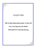 LUẬN VĂN: Một số giải pháp phòng ngừa và hạn chế rủi ro tín dụng tại chi nhánh NHNo&PTNT tỉnh Hải Dương pot