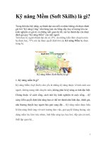 Kỹ năng Mềm (Soft Skills) là gì? docx