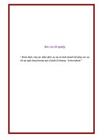 Báo cáo tốt nghiệp: “ Hoàn thiện công tác thẩm định các dự án kinh doanh bất động sản vay vốn tại ngân hàng thương mại cổ phần kỹ thương - Techcombank ” docx