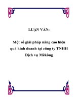 LUẬN VĂN: Một số giải pháp nâng cao hiệu quả kinh doanh tại công ty TNHH Dịch vụ Mêkông ppt