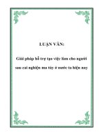LUẬN VĂN: Giải pháp hỗ trợ tạo việc làm cho người sau cai nghiện ma túy ở nước ta hiện nay docx