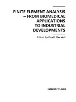 FINITE ELEMENT ANALYSIS – FROM BIOMEDICAL APPLICATIONS TO INDUSTRIAL DEVELOPMENTS docx