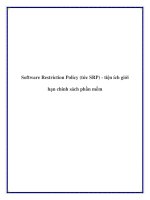 Software Restriction Policy (tức SRP) - tiện ích giới hạn chính sách phần mền pot
