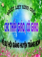 Địa lí Thành phố Cần Thơ pdf