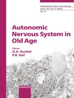 Autonomic Nervous System in Old Age pot