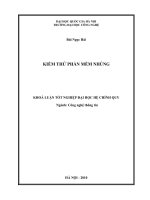 LUẬN VĂN:KIỂM THỬ PHẦN MỀM NHÚNG docx