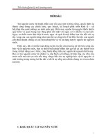 tiểu luận  quản lý môi trường nước