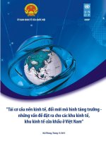Tái cơ cấu nền kinh tế, đổi mới mô hình tăng trưởng, những vấn đề đặt ra cho các khu kinh tế , khu kinh tế cửa khẩu ở Việt Nam docx