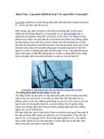 Kinh tế học : Lạm phát (inflation) là gì? Các quan điểm về lạm phát? docx